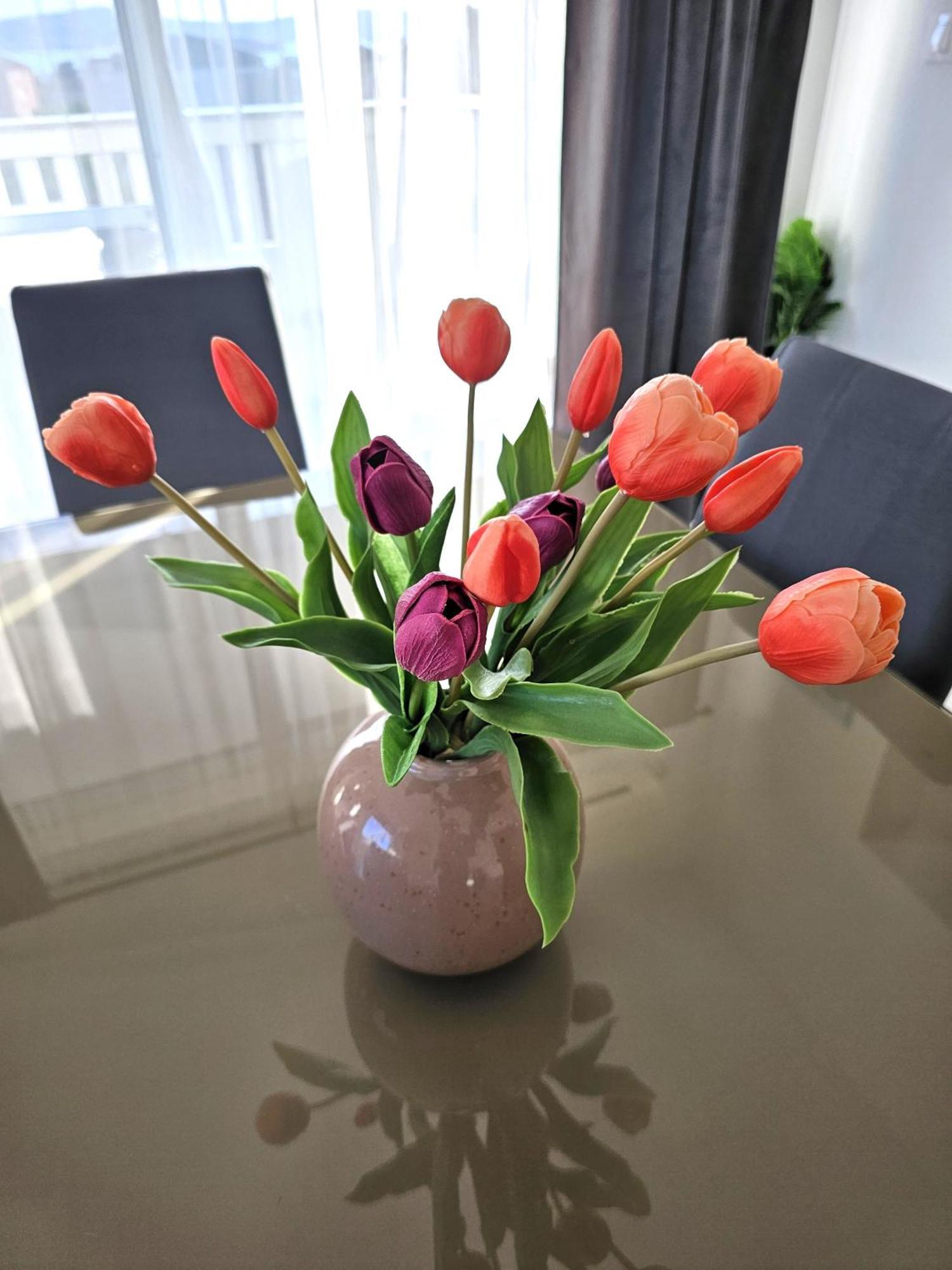 Apartment Zara Biograd Na Moru Buitenkant foto